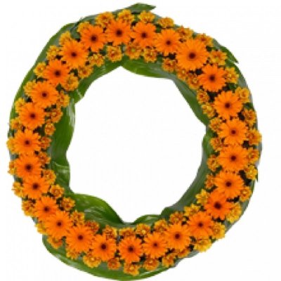 גלגל אבל כתום